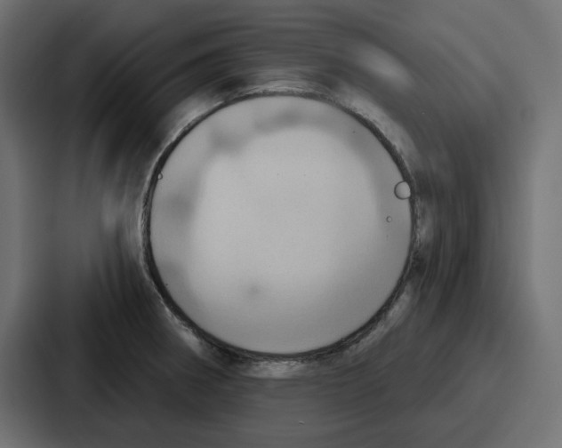 X0000086751282200705111647