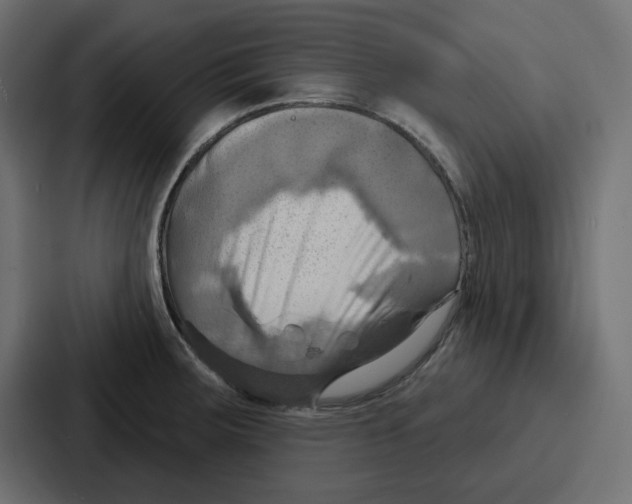 X0000086751283200705111647