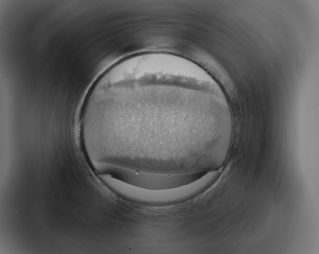 X0000086751284200705111647