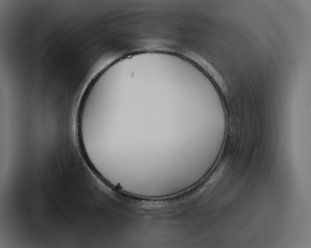 X0000086751285200705111647