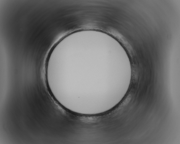 X0000086751286200705111647