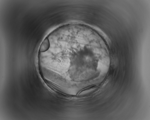 X0000086751287200705111647