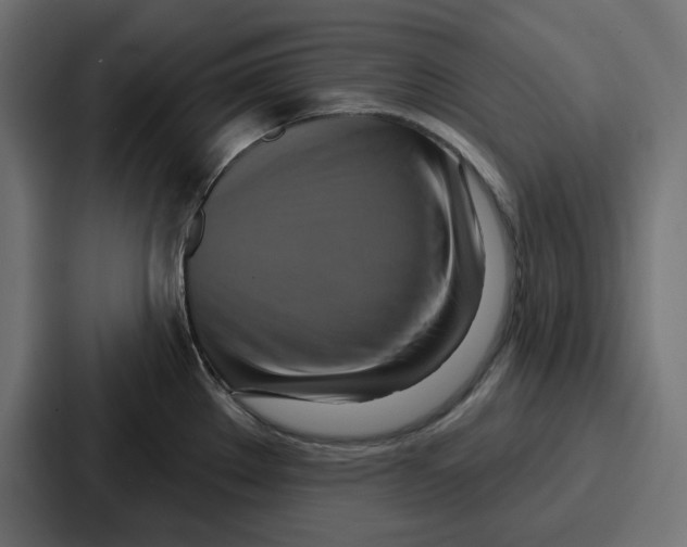 X0000086751289200705111647