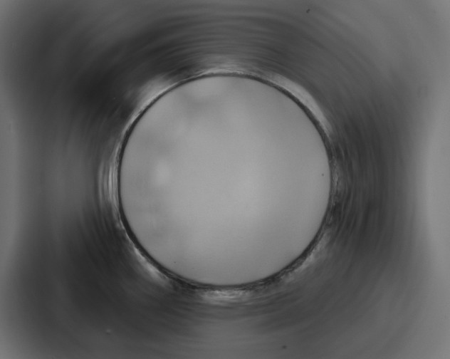 X0000086751290200705111647