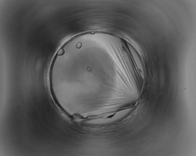 X0000086751291200705111647