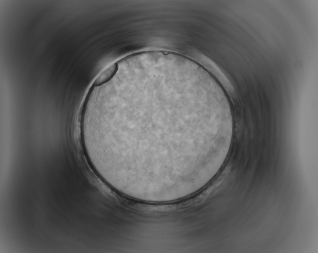 X0000086751292200705111647