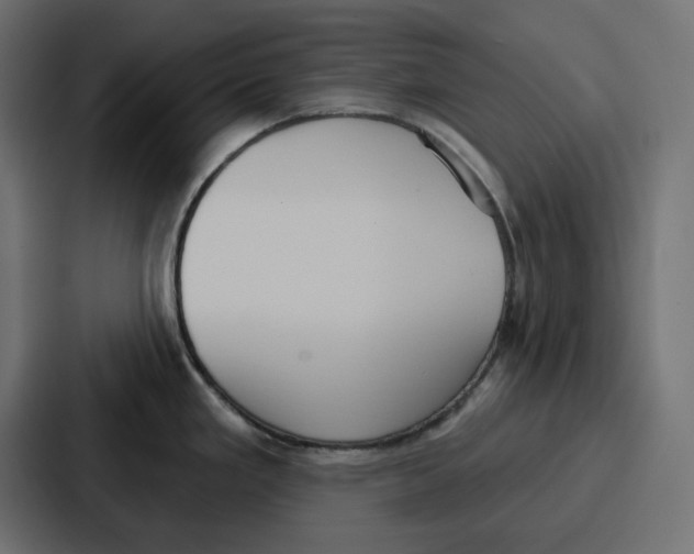 X0000086751293200705111647