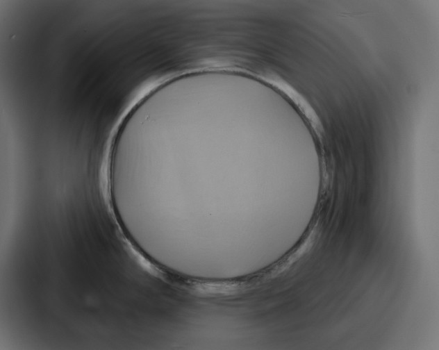 X0000086751294200705111647