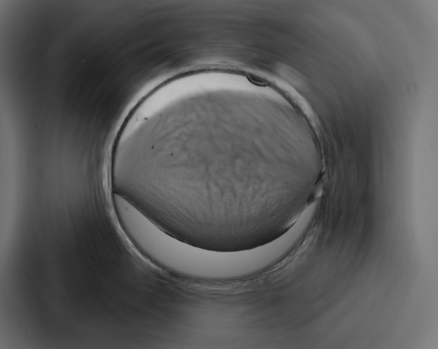 X0000086751295200705111647