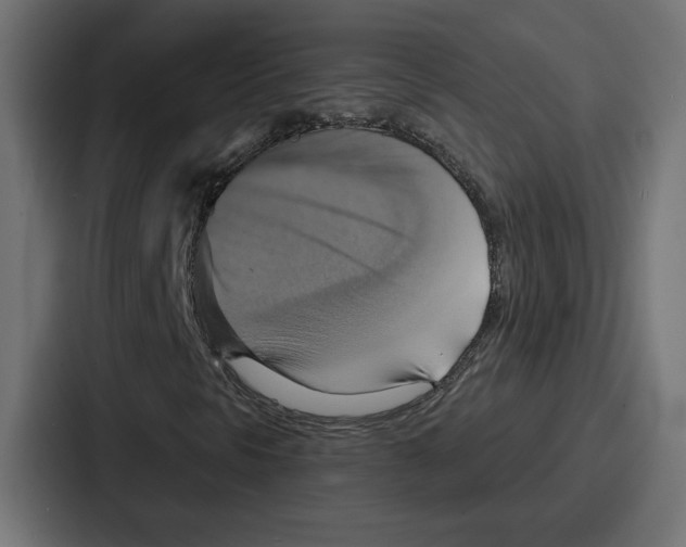 X0000086751297200705111647