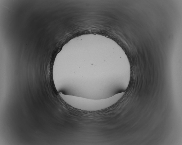 X0000086751298200705111647