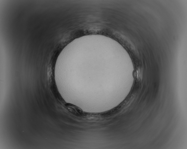 X0000086751299200705111647