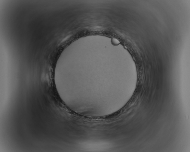 X0000086751301200705111647