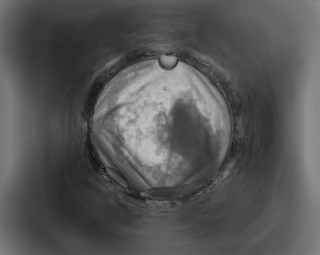 X0000086751302200705111647