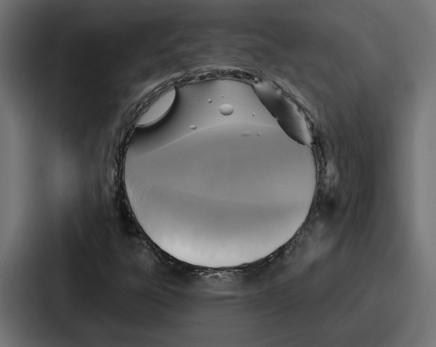 X0000086751303200705111647