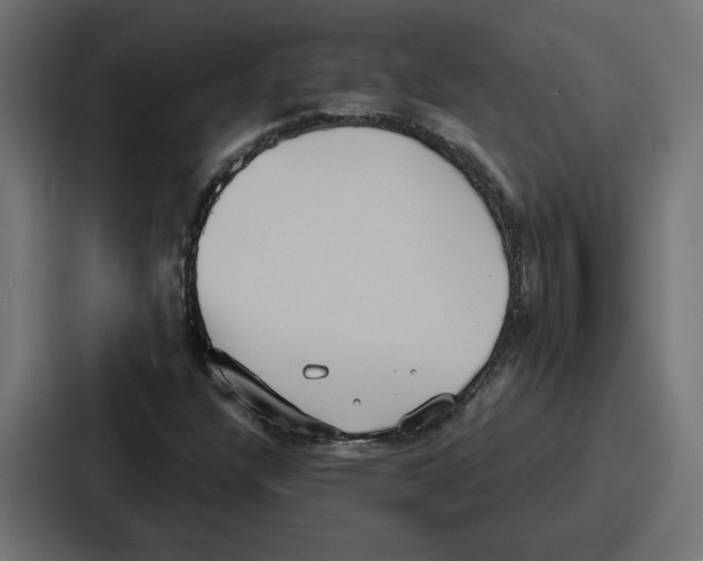 X0000086751304200705111647
