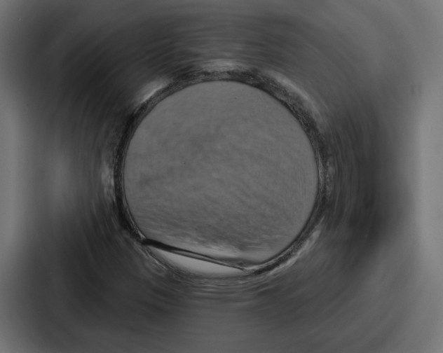 X0000086751305200705111647