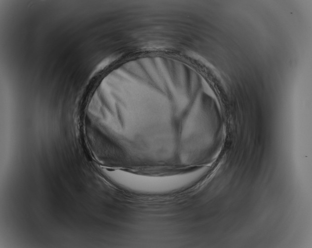 X0000086751306200705111647