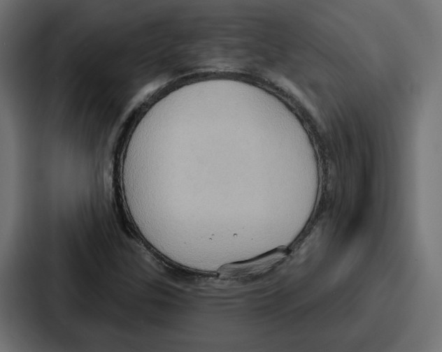 X0000086751307200705111647