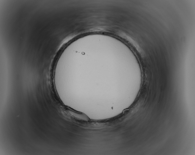 X0000086751308200705111647