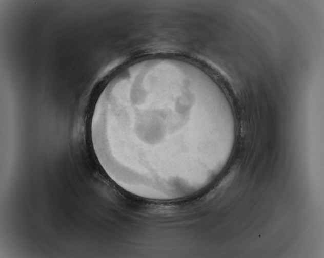 X0000086751309200705111647