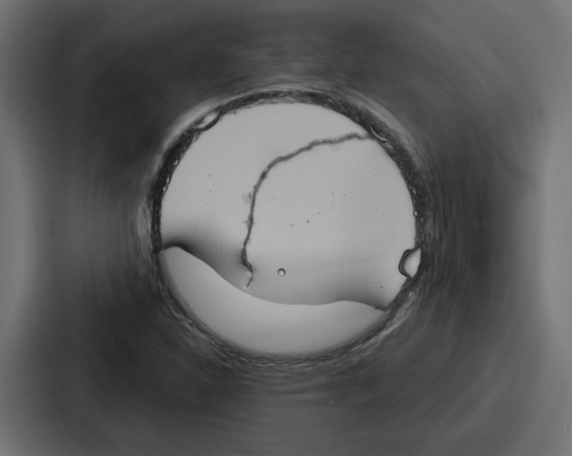 X0000086751310200705111647