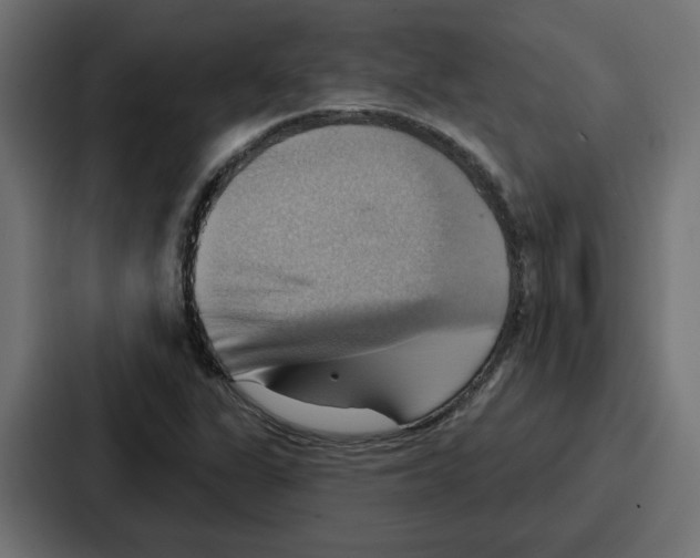 X0000086751311200705111647