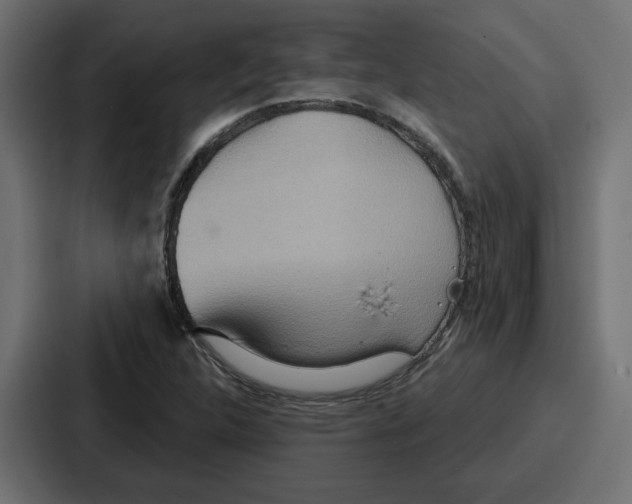 X0000086751312200705111647