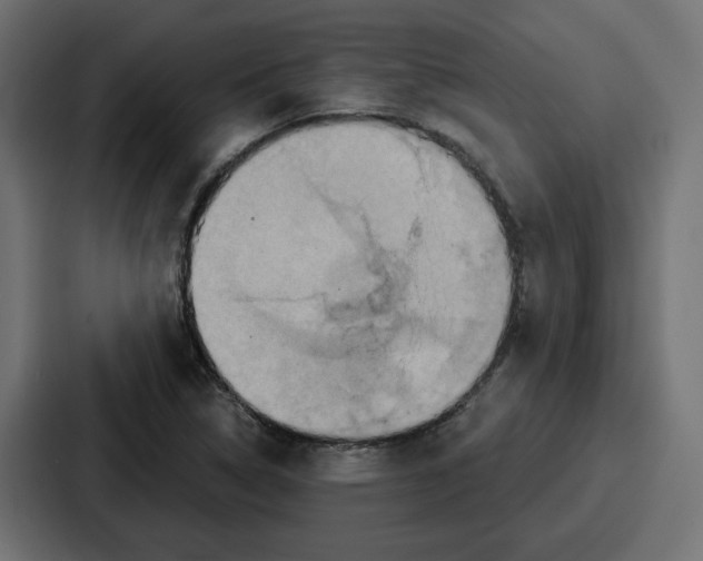 X0000086751314200705111647