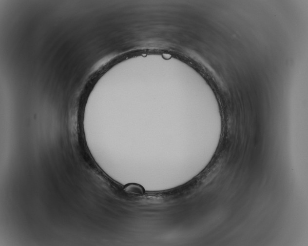 X0000086751315200705111647
