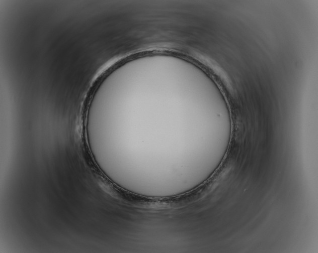 X0000086751316200705111647