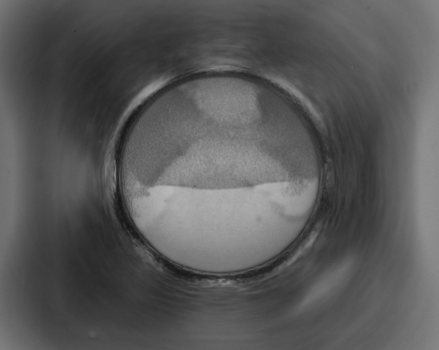 X0000086751317200705111647