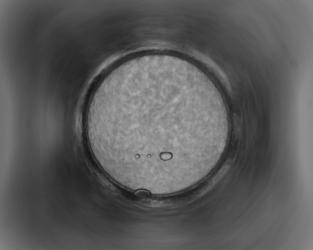 X0000086751318200705111647