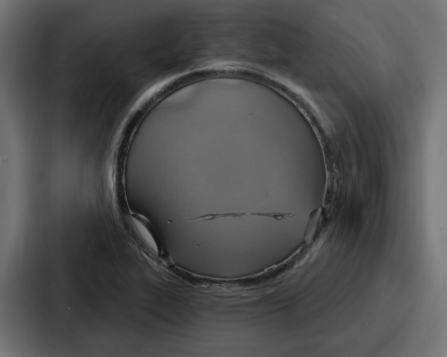 X0000086751319200705111647