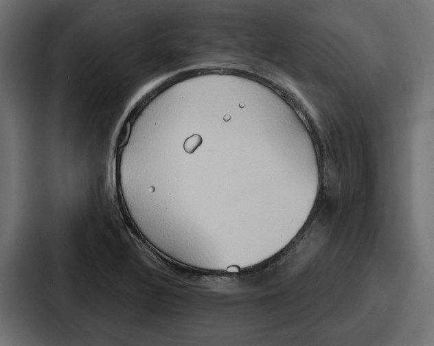 X0000086751320200705111647