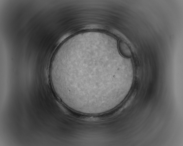 X0000086751321200705111647