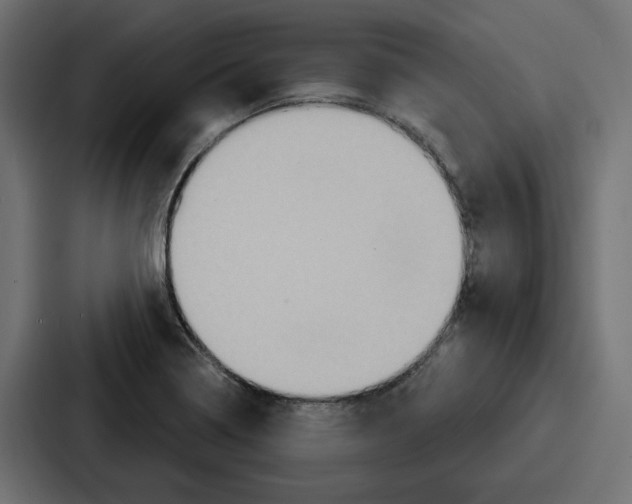 X0000086751322200705111647