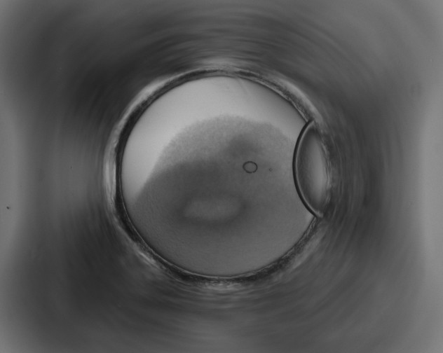 X0000086751323200705111647