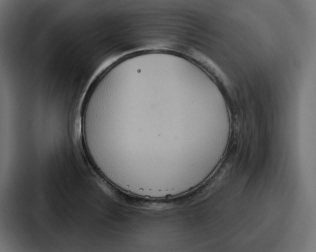 X0000086751324200705111647