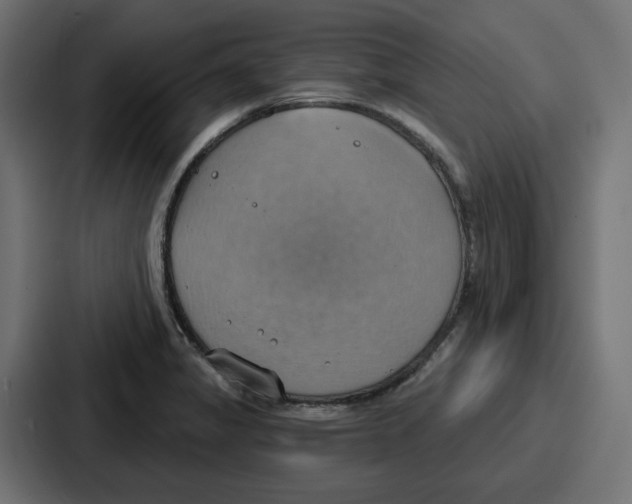 X0000086751325200705111647