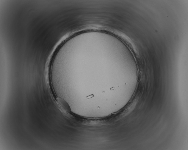 X0000086751326200705111647