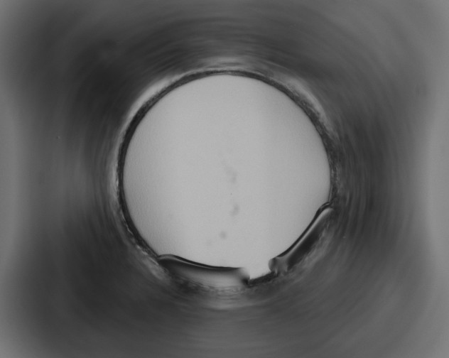 X0000086751328200705111647