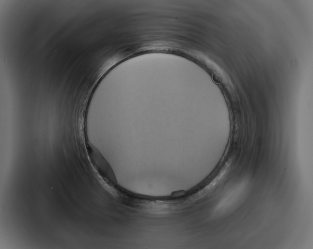 X0000086751329200705111647