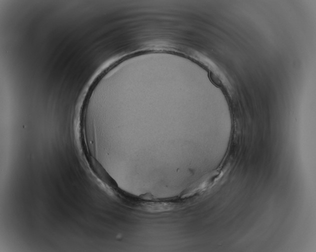 X0000086751331200705111647