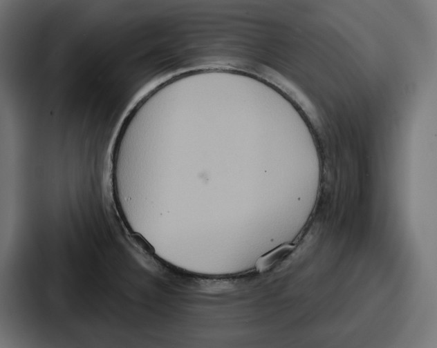 X0000086751332200705111647