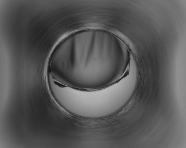 X0000086751334200705111647