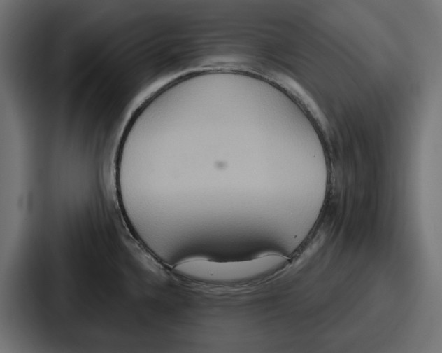 X0000086751336200705111647