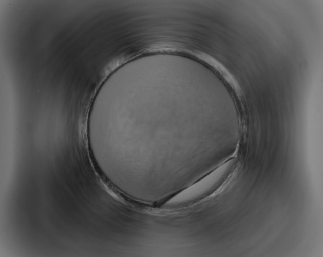 X0000086751337200705111647