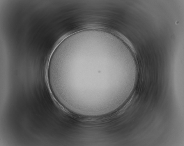 X0000086751338200705111647