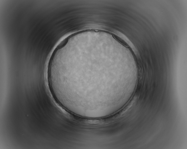 X0000086751339200705111647